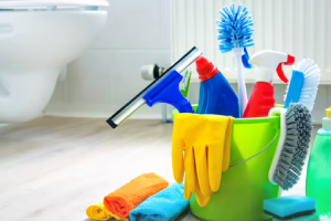 Messie Reinigung Rheine